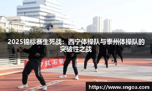 2025锦标赛生死战：西宁体操队与泰州体操队的突破性之战